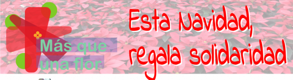 baner-navidad