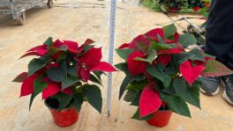 thumbnail_b15762b8-b5be-4581-b2f2-021039c6def4