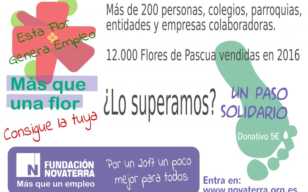 Participa en la campaña navideña «Más que una Flor»