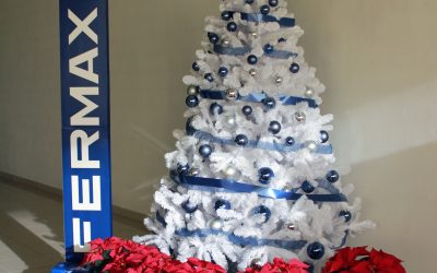 12.000 Flores de Pascua Solidarias para fomentar la inclusión social