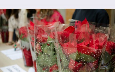 «Más que una flor» busca nuevos centros solidarios