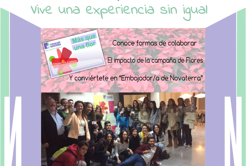 Arrancan las visitas escolares a Novaterra