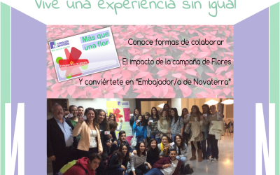 Arrancan las visitas escolares a Novaterra