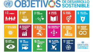 Fundación Novaterra colabora en la V edición del RSEncuentro