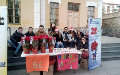 Échale un vistazo a cómo va el Mercadillo Navideño de Novaterra