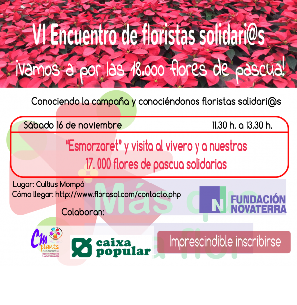 2019-visita-vivero