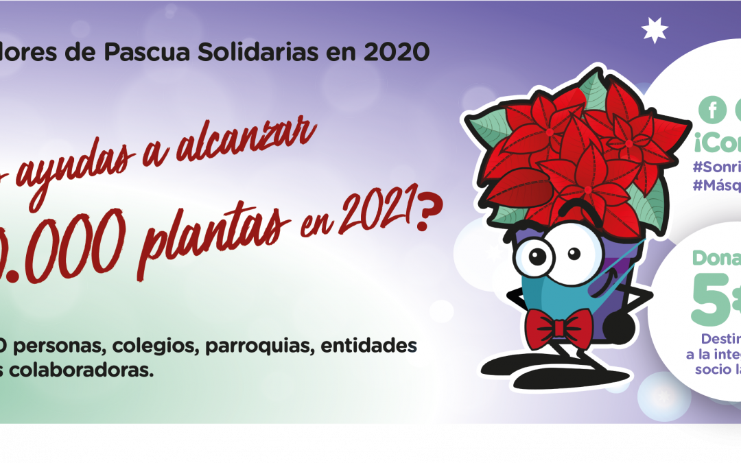 ¡Ayúdanos a batir el récord de Flores de Pascua esta Navidad!