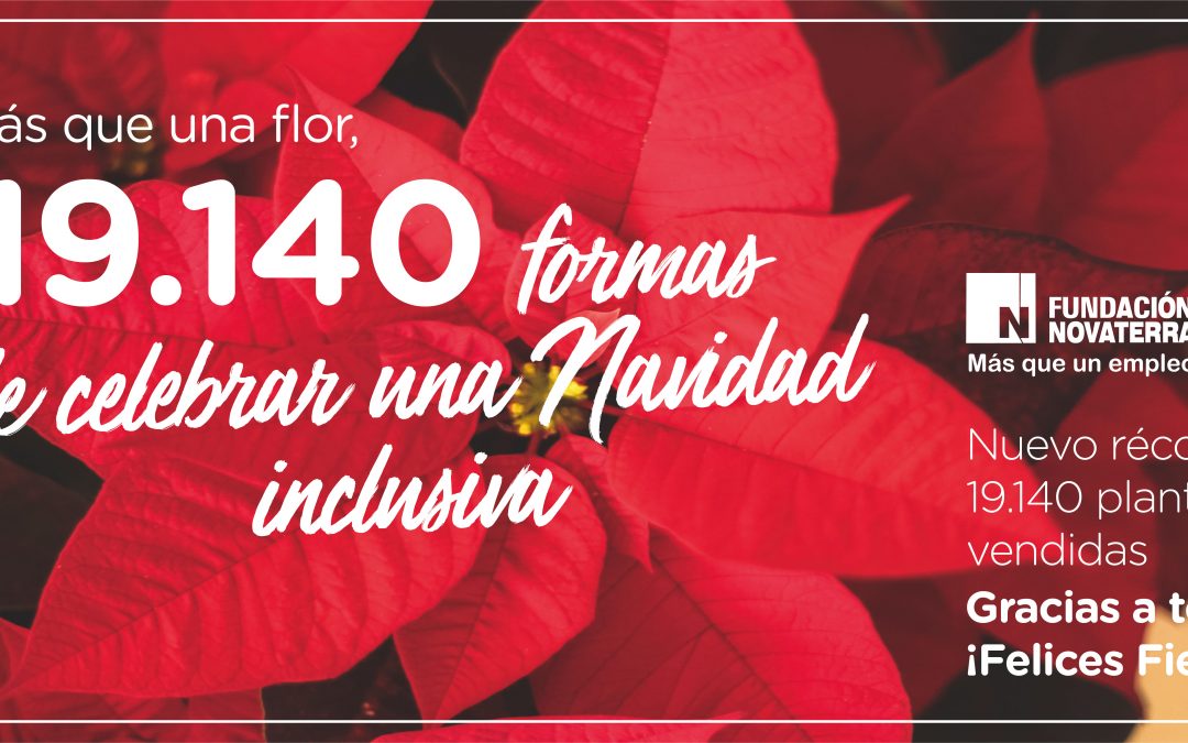 Más que una flor, 19.140 formas de celebrar una Navidad inclusiva