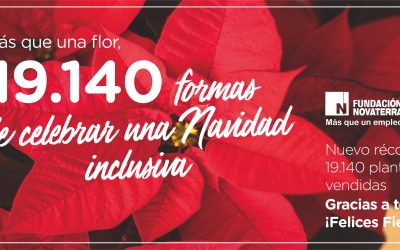 Más que una flor, 19.140 formas de celebrar una Navidad inclusiva