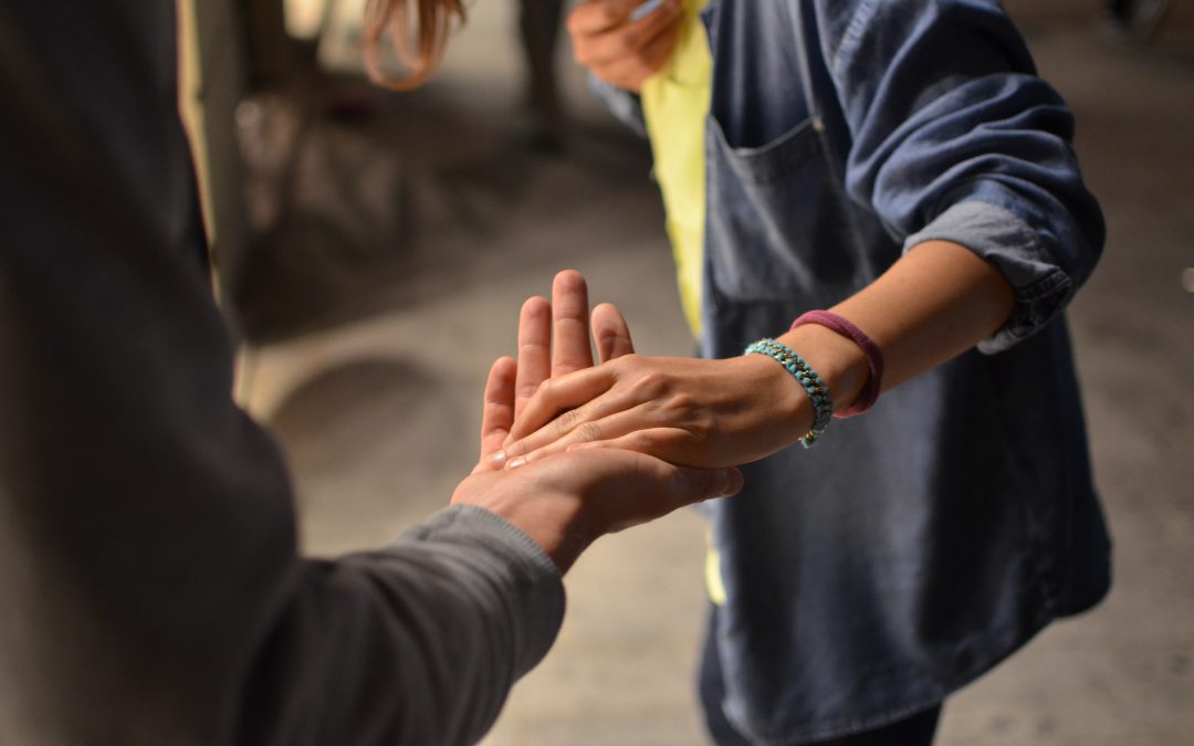 NECESIDADES DE VOLUNTARIADO EN NOVATERRA