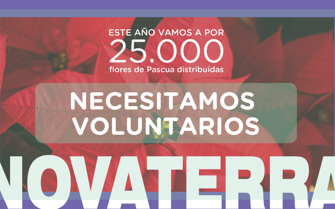 CAMPAÑA VOLUNTARIADO: juntos vamos a batir todos los récords sociales