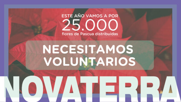 movilizacion-voluntarios-okokok_mesa-de-trabajo-1