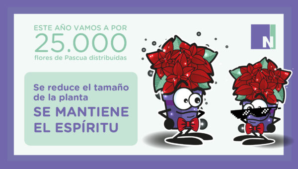 banner plantas 1_Mesa de trabajo 1