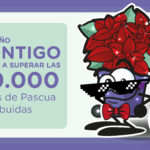 banner plantas 1 okOK_Mesa de trabajo 1