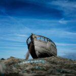 alexander-andrews-JxfKZbPDTSc-unsplash