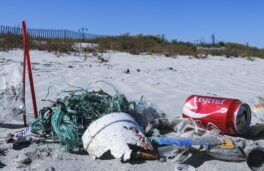 reto-julio-playas-novaterra-2