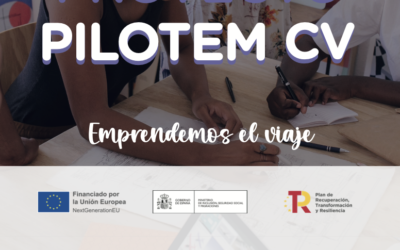 Resumen Proyecto PILOTEM 2023