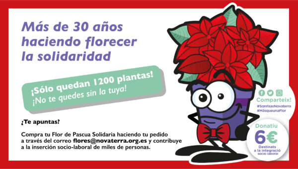 banner-solo-quedan-1200-boletin_mesa-de-trabajo-1