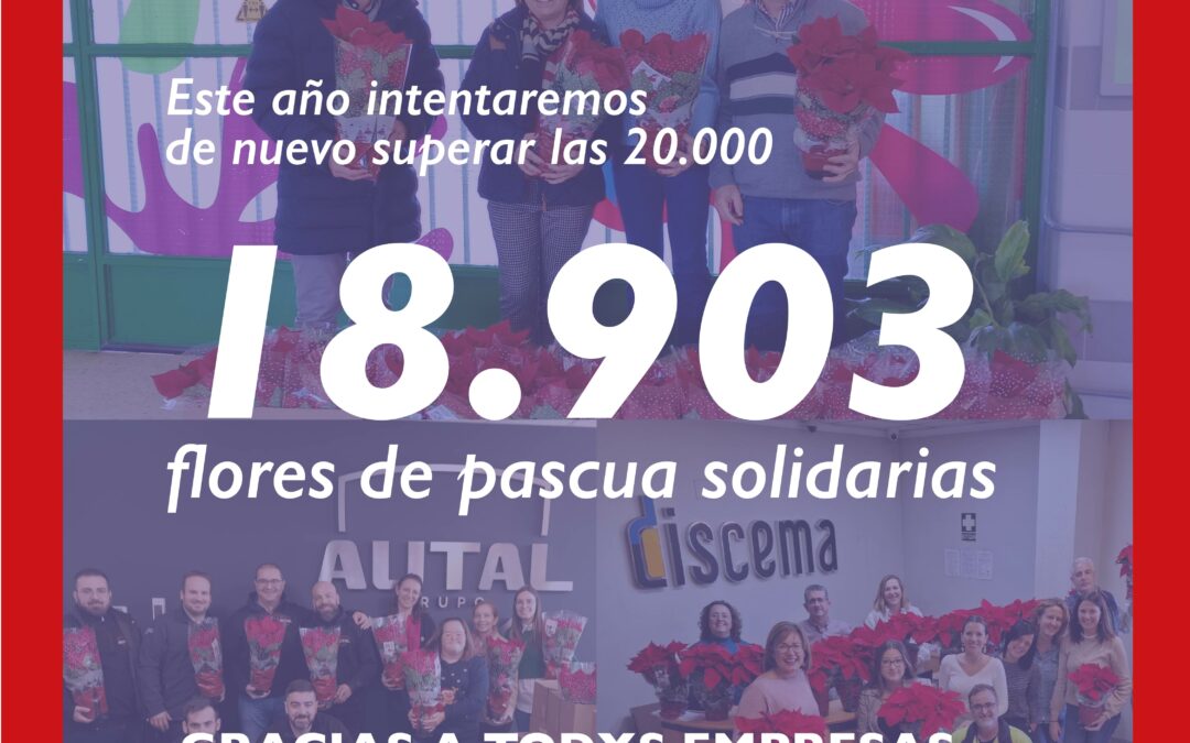 ¡18.903 flores de pascua solidarias distribuidas en 2023!