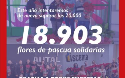 ¡18.903 flores de pascua solidarias distribuidas en 2023!