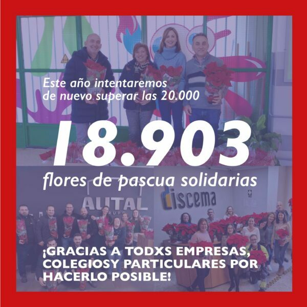 post postcampaña 2023 rrss_Mesa de trabajo 1