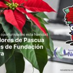 Banner boletín campaña plantas