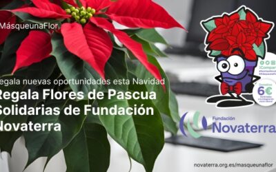 Más que una Flor en las empresas: regala con propósito