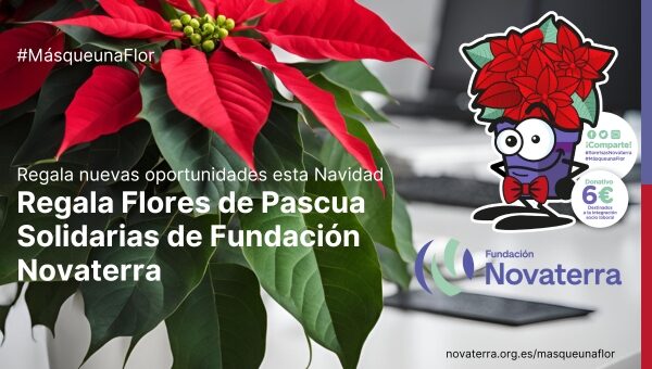 banner-boletin-campana-plantas