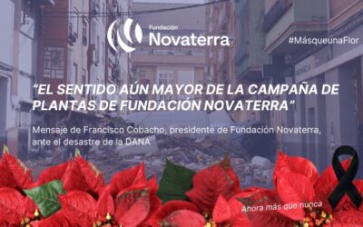 El sentido aún mayor de la campaña de plantas #MásqueunaFlor tras la DANA