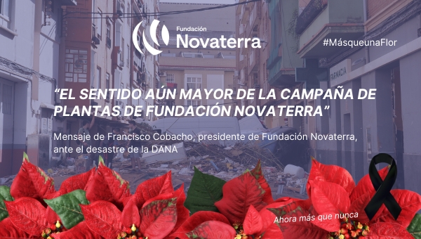 El sentido aún mayor de la campaña de plantas #MásqueunaFlor tras la DANA