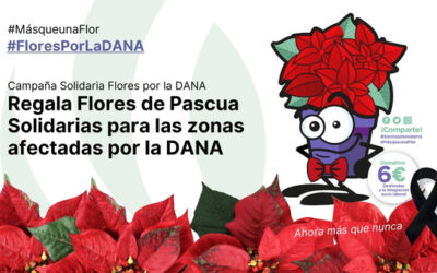 Regala Flores de Pascua Solidarias para los afectados por la DANA