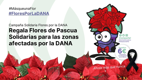 Regala Flores de Pascua Solidarias para los afectados por la DANA
