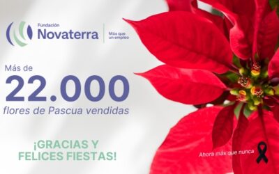 ¡Más de 22.000 flores de Pascua vendidas! Felices Fiestas y próspero año 2025