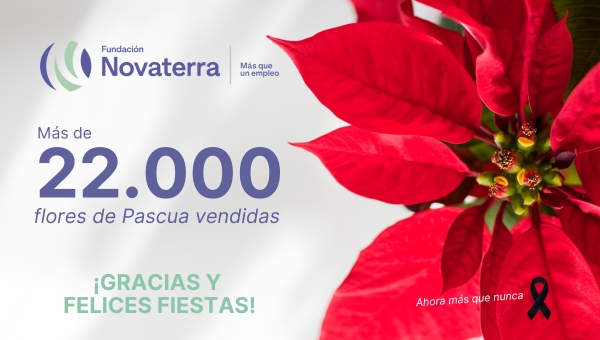 ¡Más de 22.000 flores de Pascua vendidas! Felices Fiestas y próspero año 2025