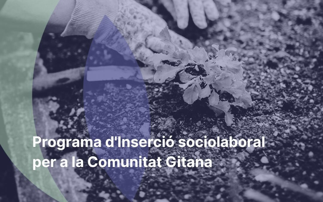 Ayuntamiento de Alcoy y Fundación Novaterra promueven la inserción laboral de la comunidad gitana