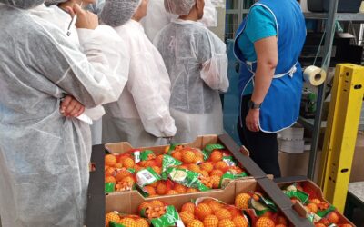 Finaliza con éxito el curso de Encajadores y Carretilleros de Fundación Novaterra e Incorpora de Fundación «la Caixa», con un 100% de inserción laboral