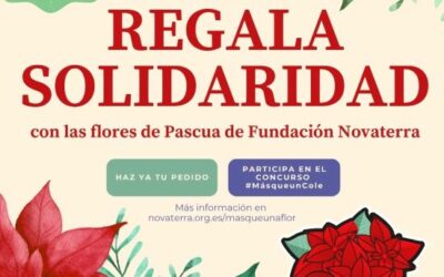 La solidaridad también se aprende: Más que una Flor, Más que un colegio