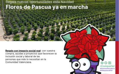 Más que una flor: cómo un pequeño gesto puede impulsar oportunidades de empleo